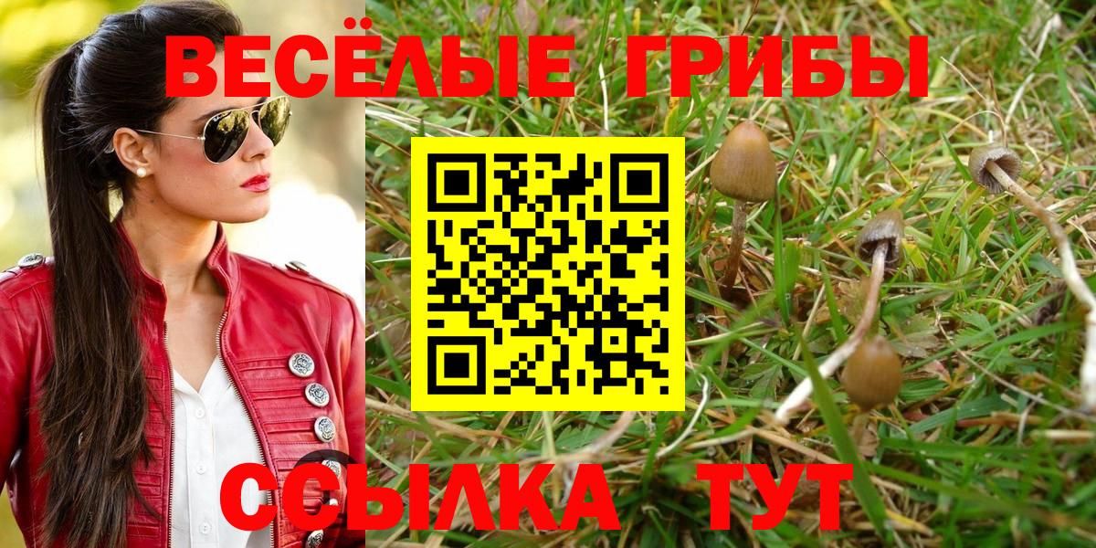 Галлюциногенные грибы прущие грибы  Вход с VPN  Сердобск 
